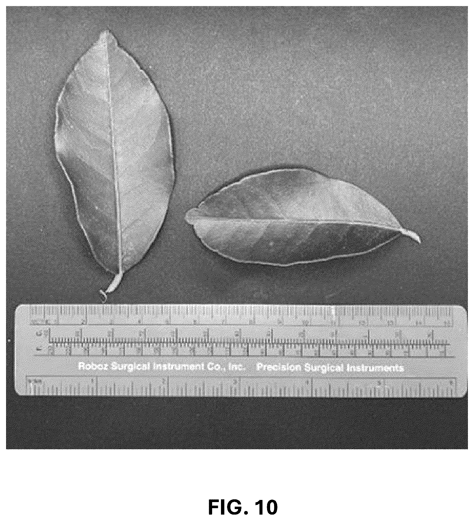Patent USPP037293 Figure 8 – Hybrid lime plant named ‘C4-5-14’
