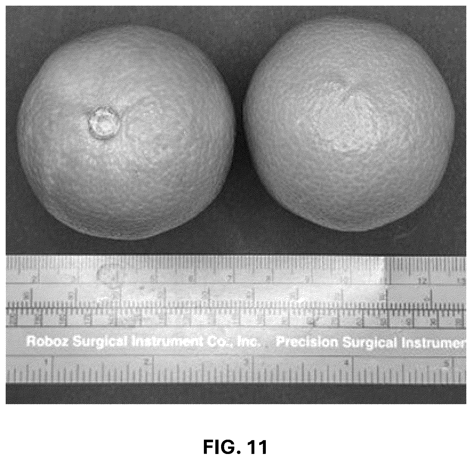 Patent USPP037293 Figure 9 – Hybrid lime plant named ‘C4-5-14’