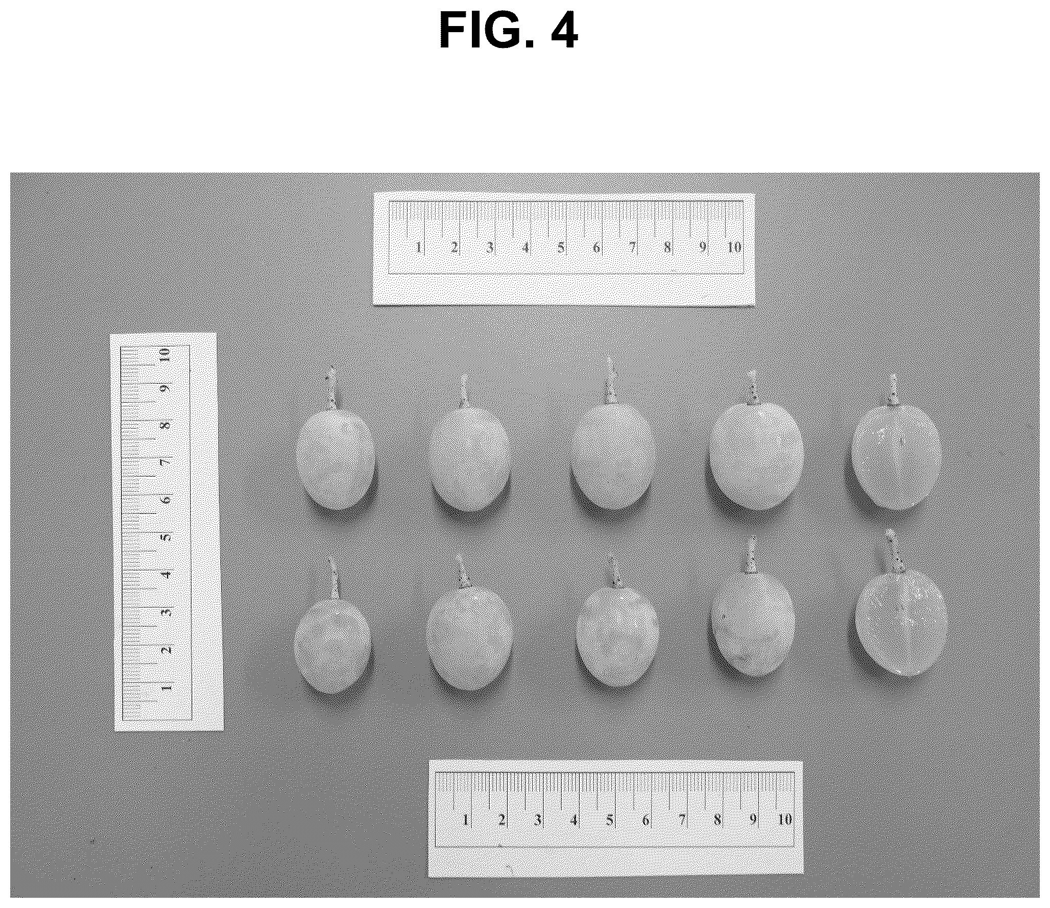 Patent USPP037295 Figure 4 – Grapevine plant named ‘IVC AN1’