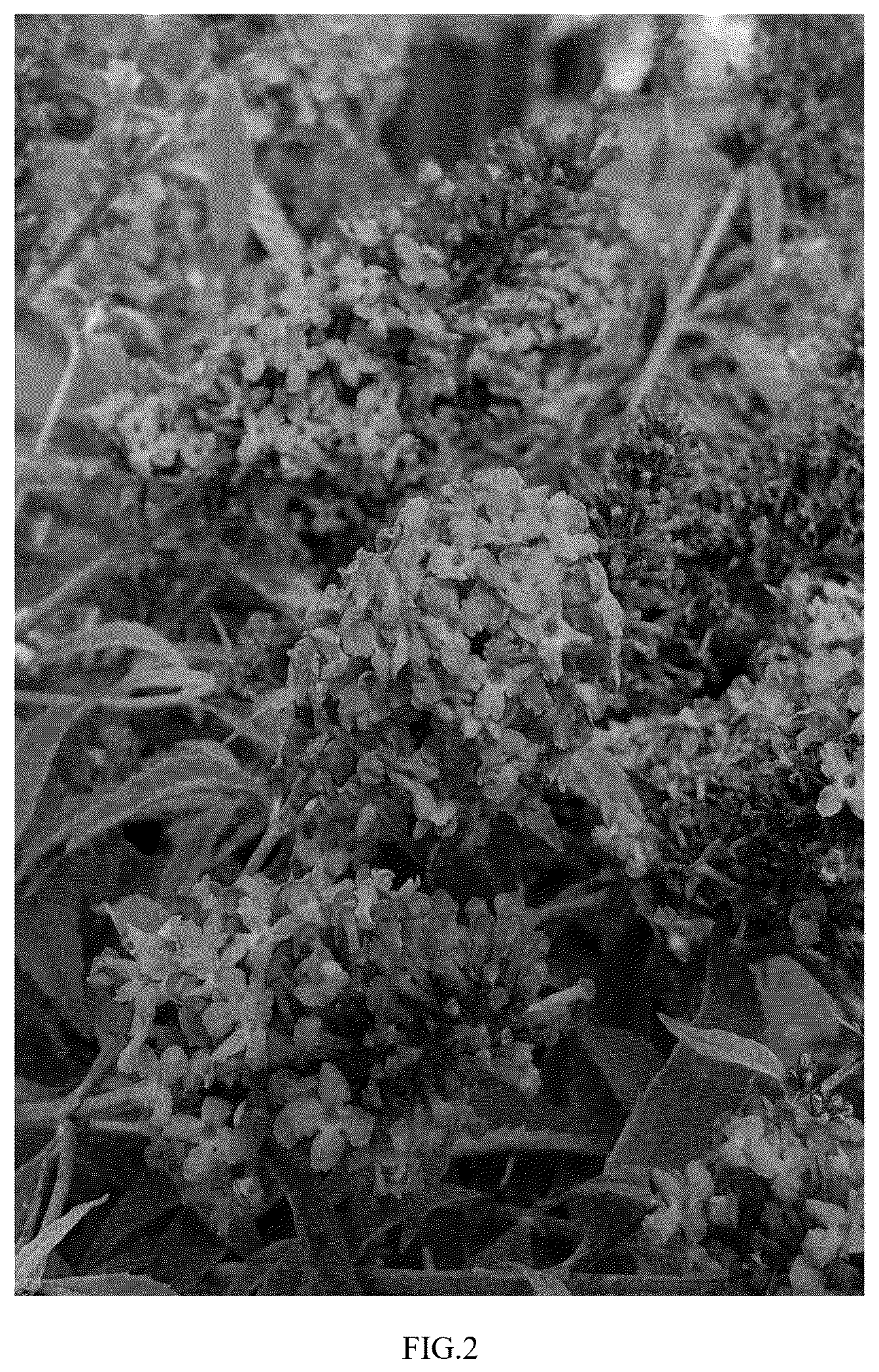 Patent USPP037301 Figure 2 – Buddleja plant named ‘SFF22-062’