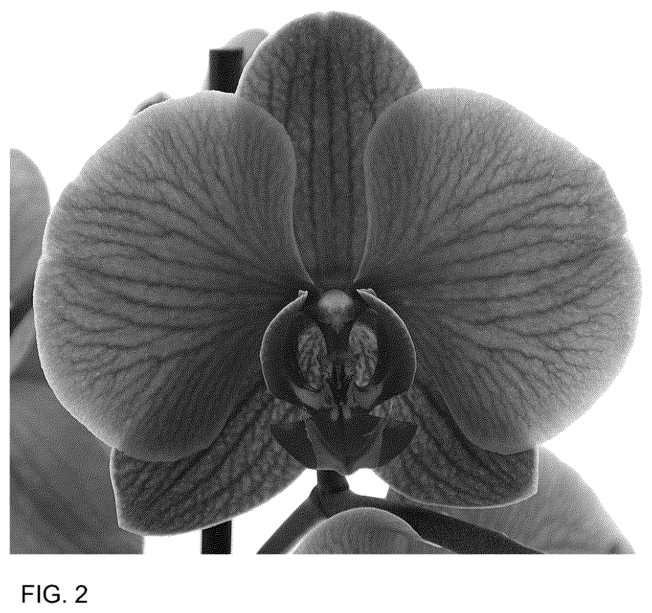 Patent USPP037304 Figure 2 – Phalaenopsis plant named ‘Florichrome’