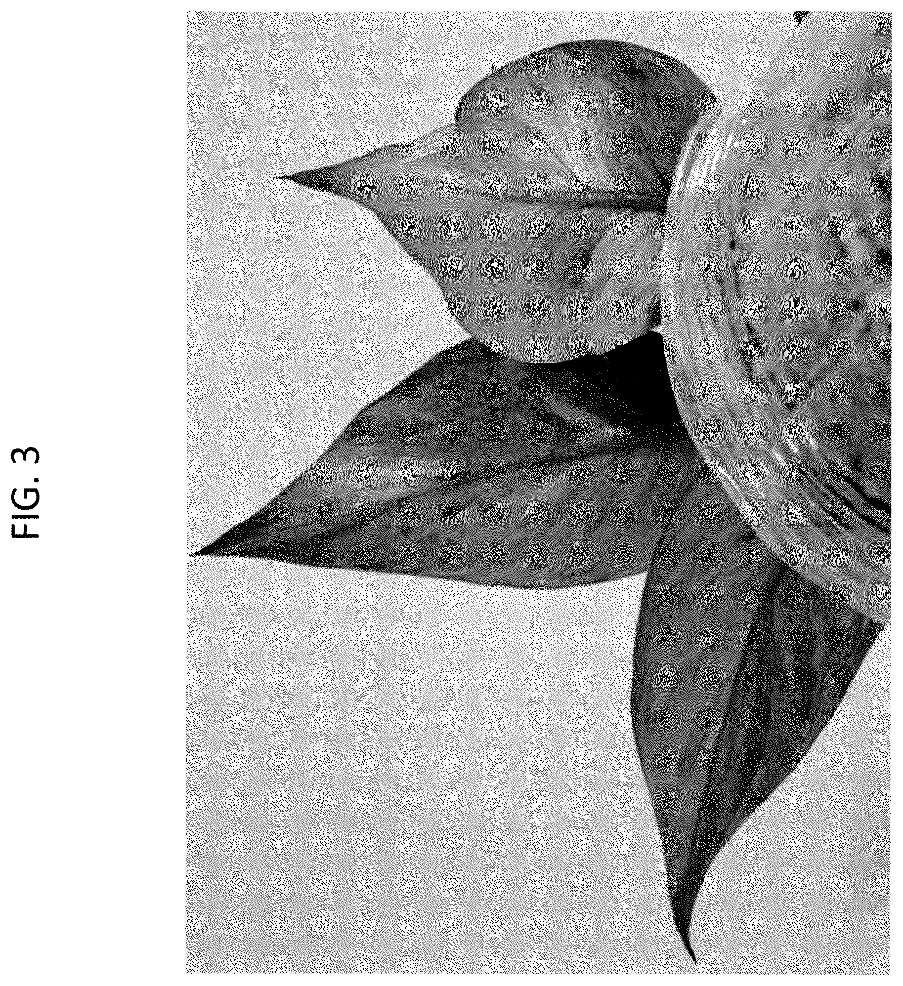 Patent USPP037308 Figure 3 – Philodendron plant named ‘BVCL01’