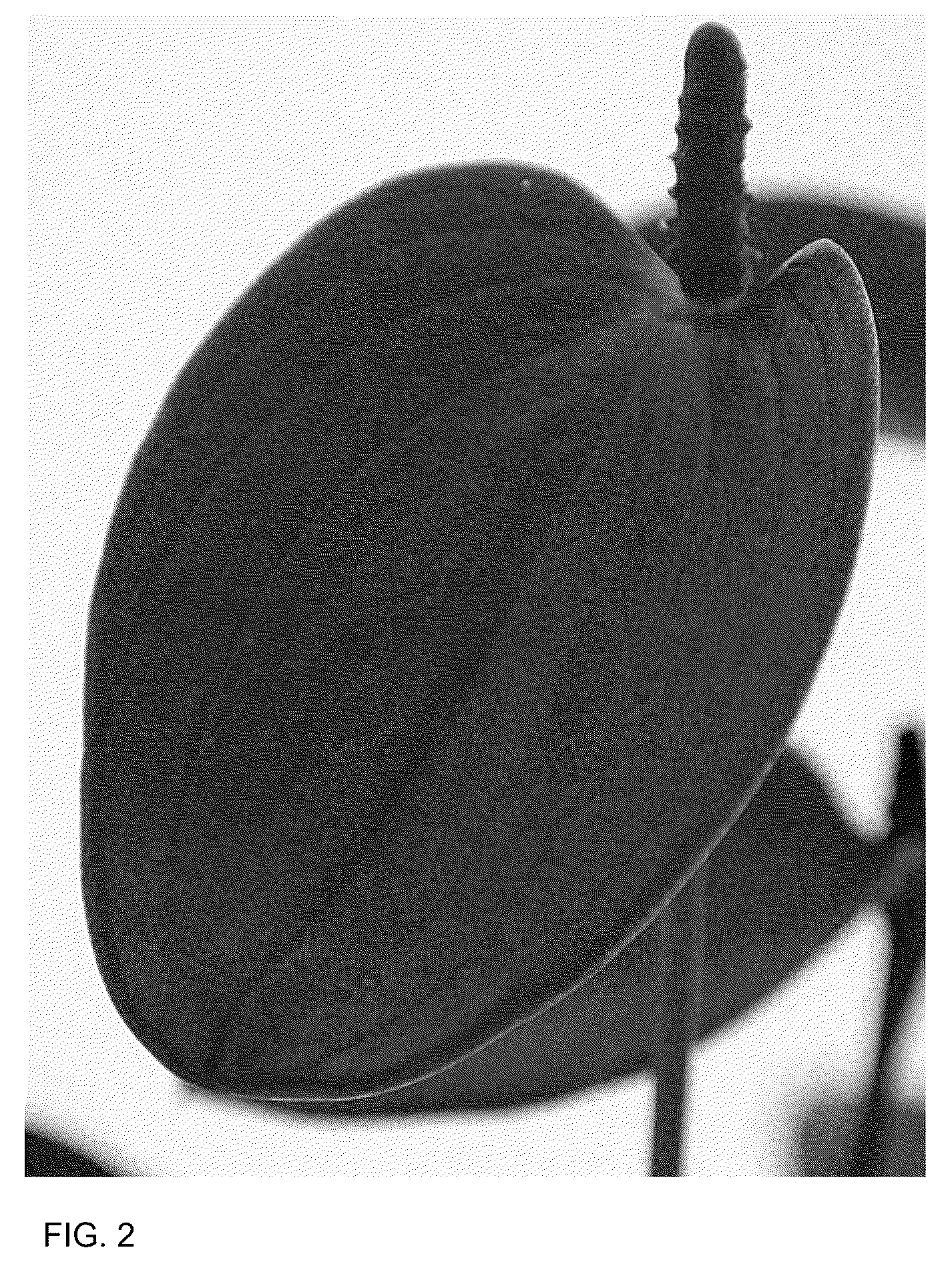 Patent USPP037335 Figure 2 – Anthurium plant named ‘AN2181990’