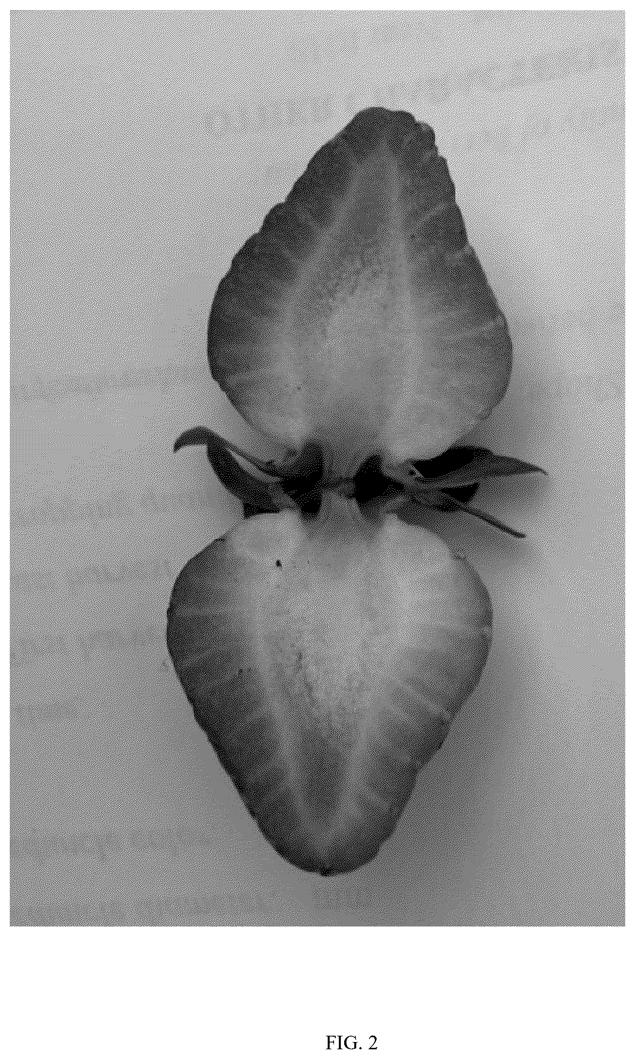 Patent USPP037347 Figure 2 – Fragaria plant named ‘BTSB one’