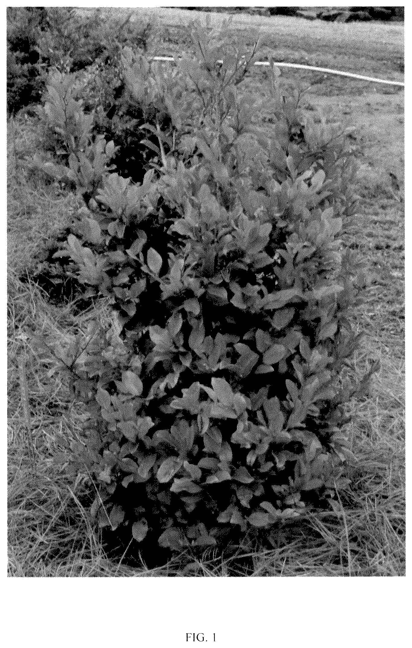 Patent USPP037350 Figure 1 – Distylium plant named ‘T3-01-22’