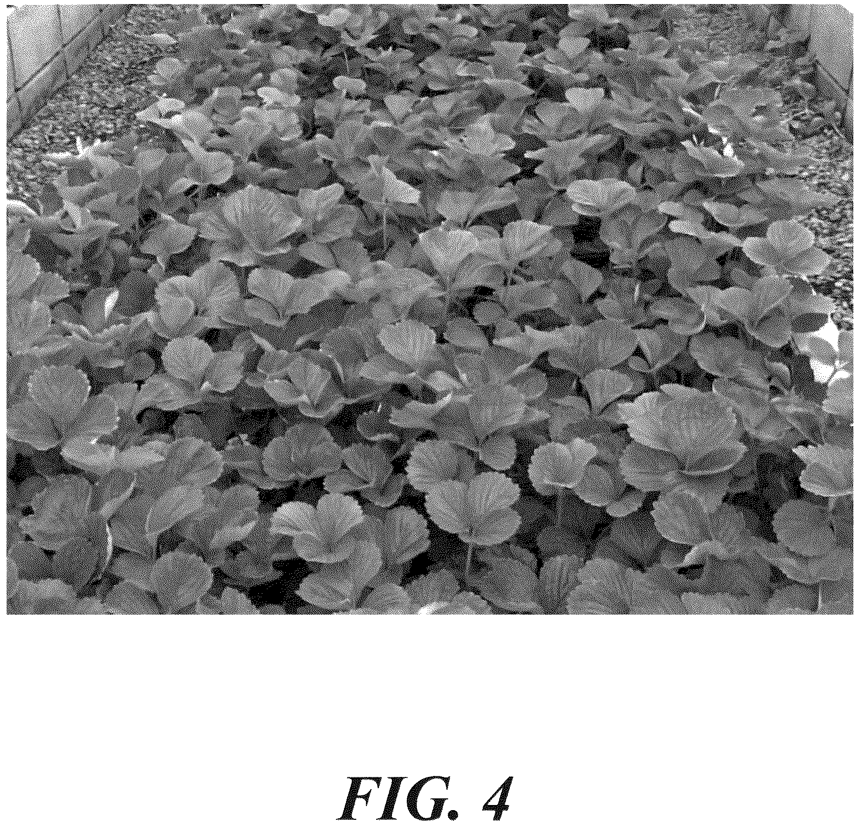 Patent USPP037375 Figure 4 – Strawberry plant named ‘LBR 96 1’