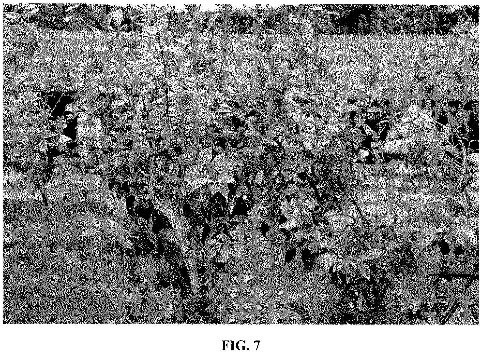 Patent USPP037387 Figure 7 – Blueberry plant named ‘FCE18-015’