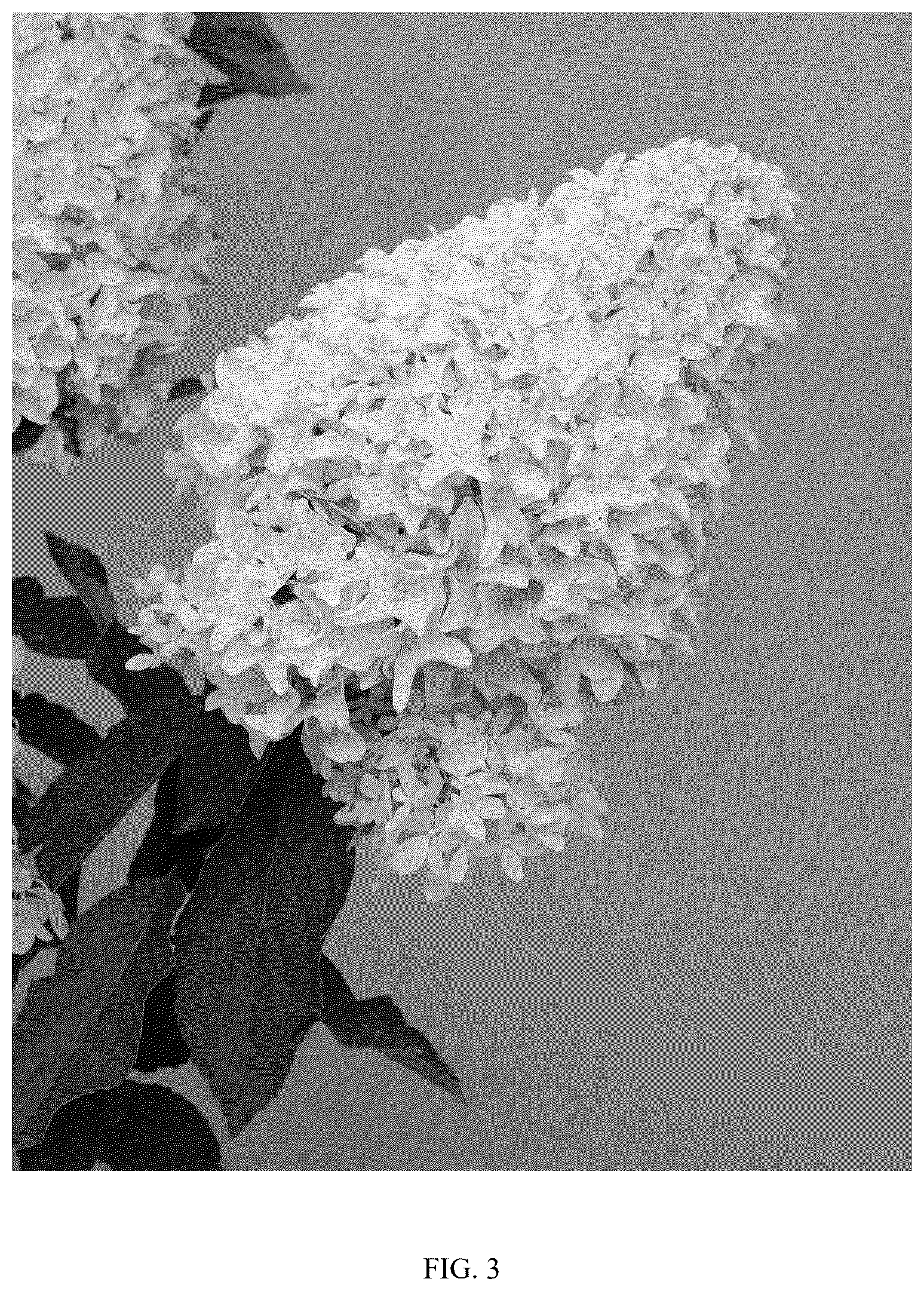 Patent USPP037405 Figure 3 – Hydrangea plant named ‘OLLEDE’